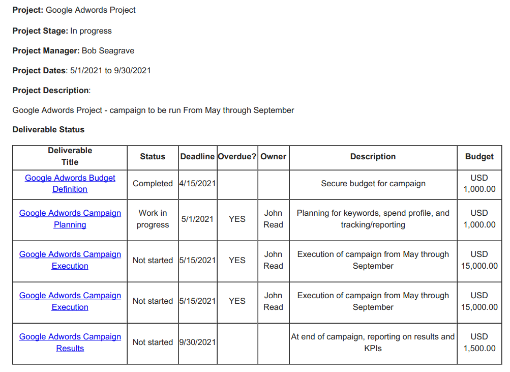 Project Sample Report