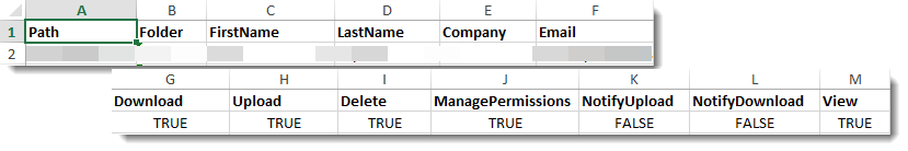 Report Access columns