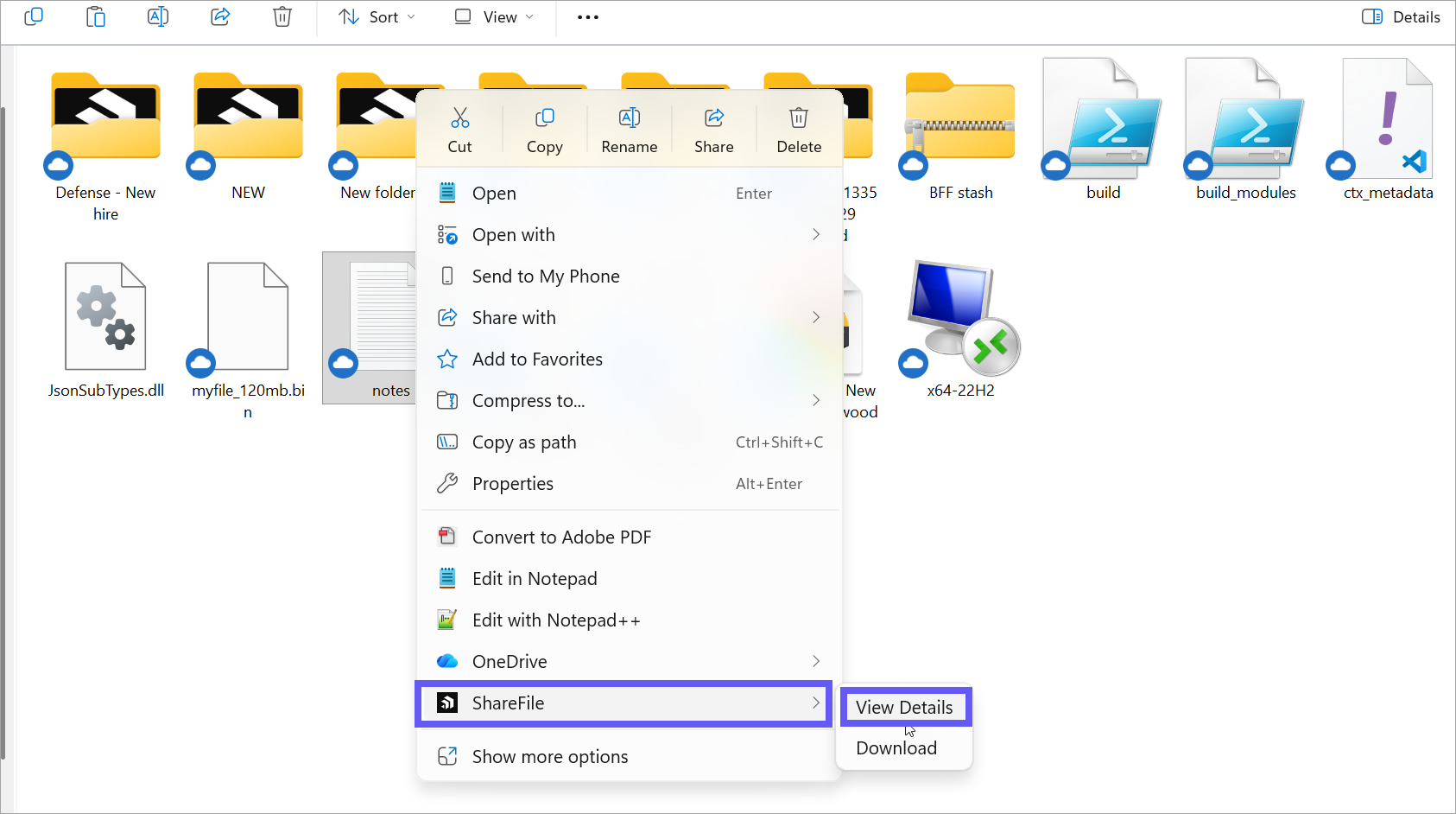 File versioning
