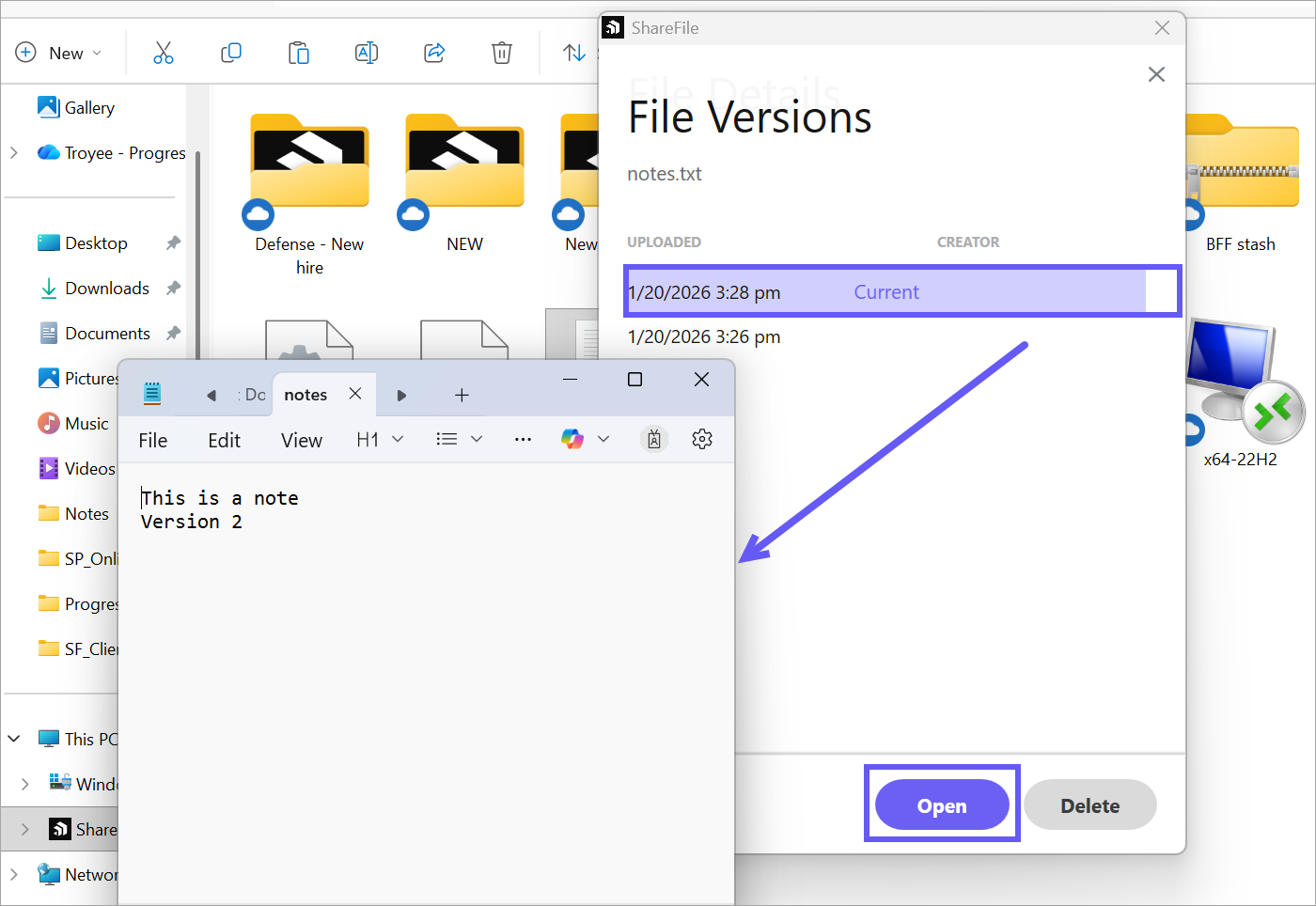File versioning