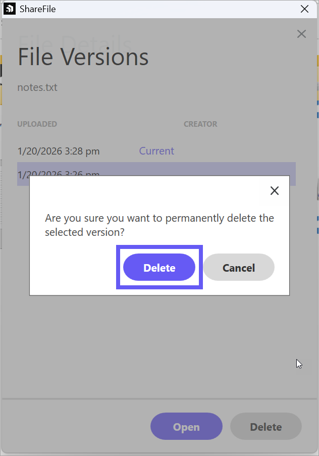 File versioning