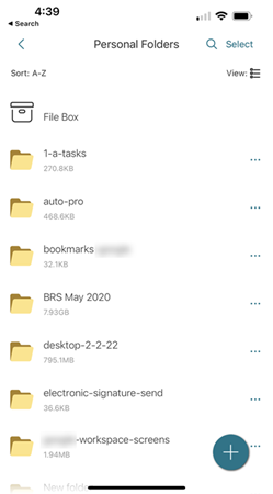 iOS ms co-editing