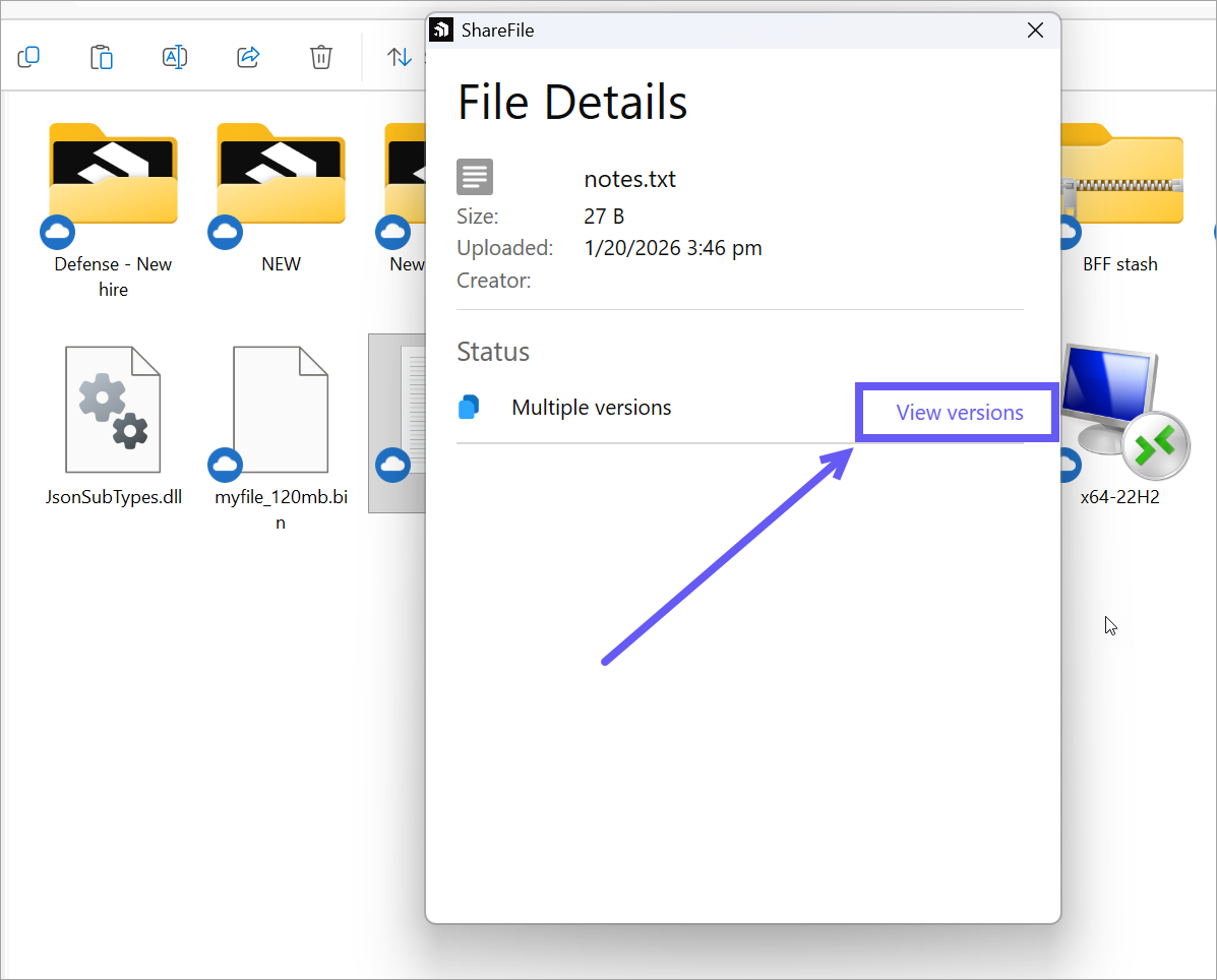 File versioning