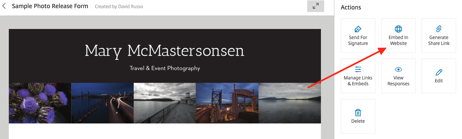 Embed Document Website 2