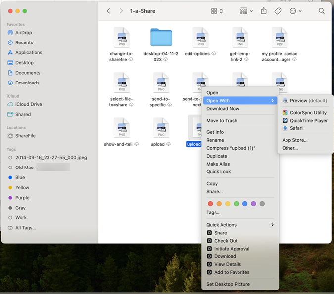 Open file in ShareFile for Mac screen