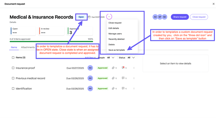 project experience template