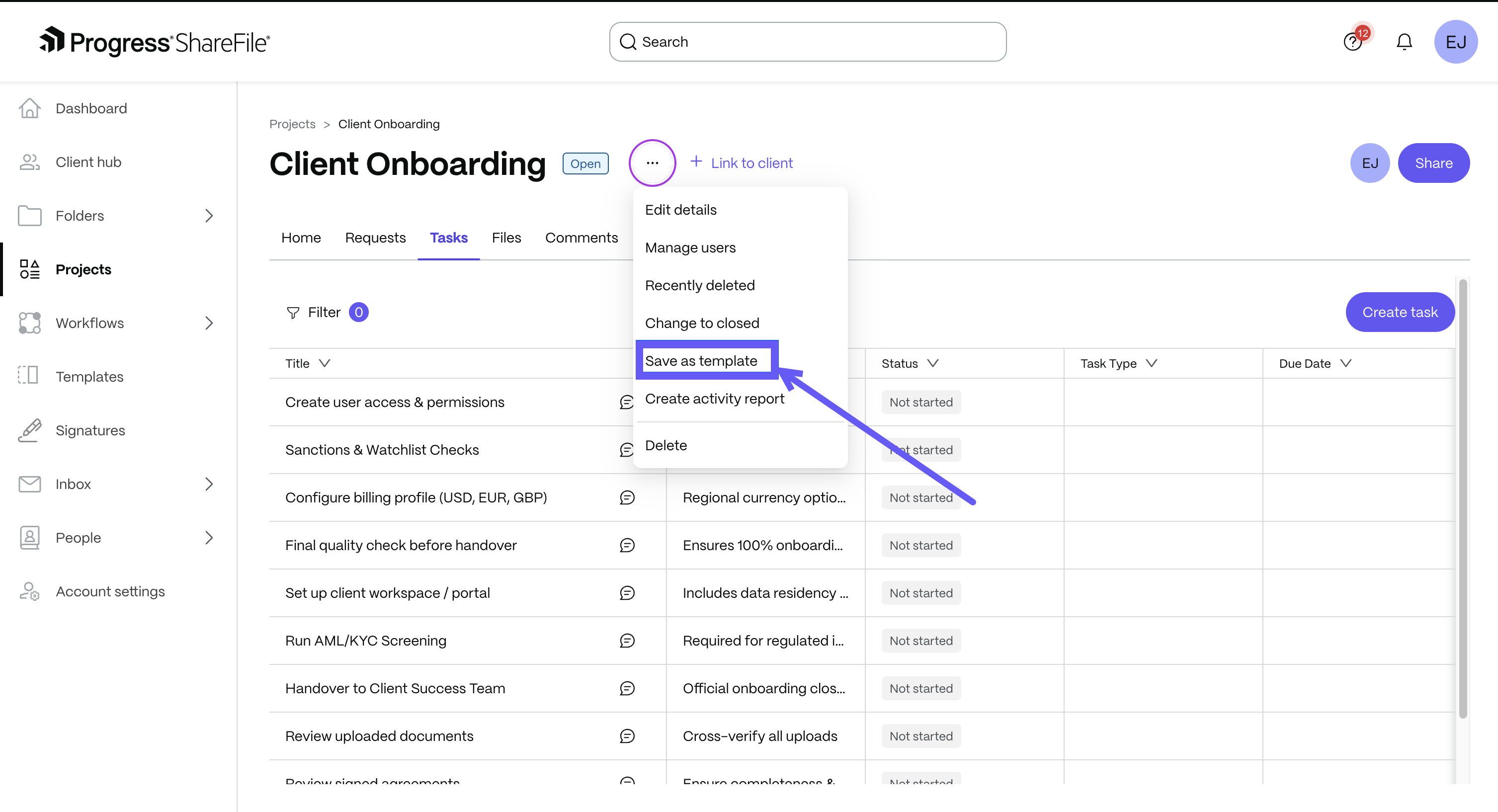 project experience template