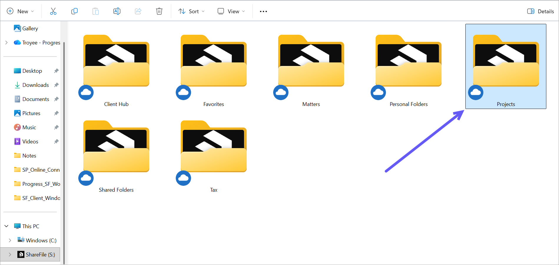 ShareFile new folder