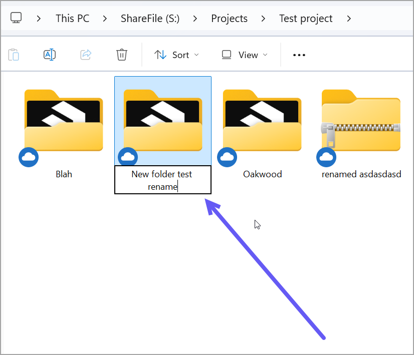 ShareFile rename folder