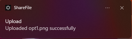 file upload success screen